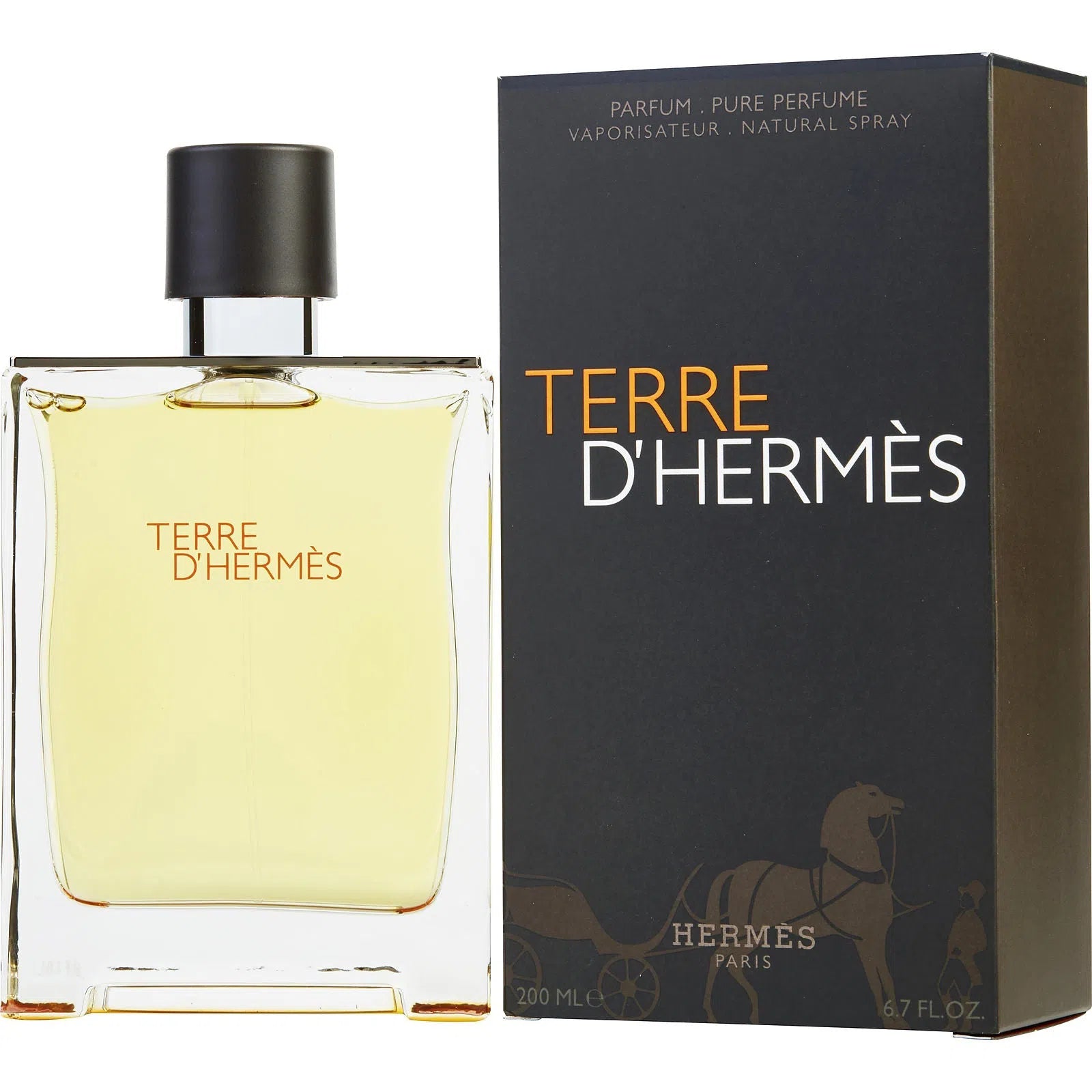 Perfume Hermès Terre D'Hermes Pure Parfum (M) / 200 ml - 1 - Privé Perfumes Honduras
