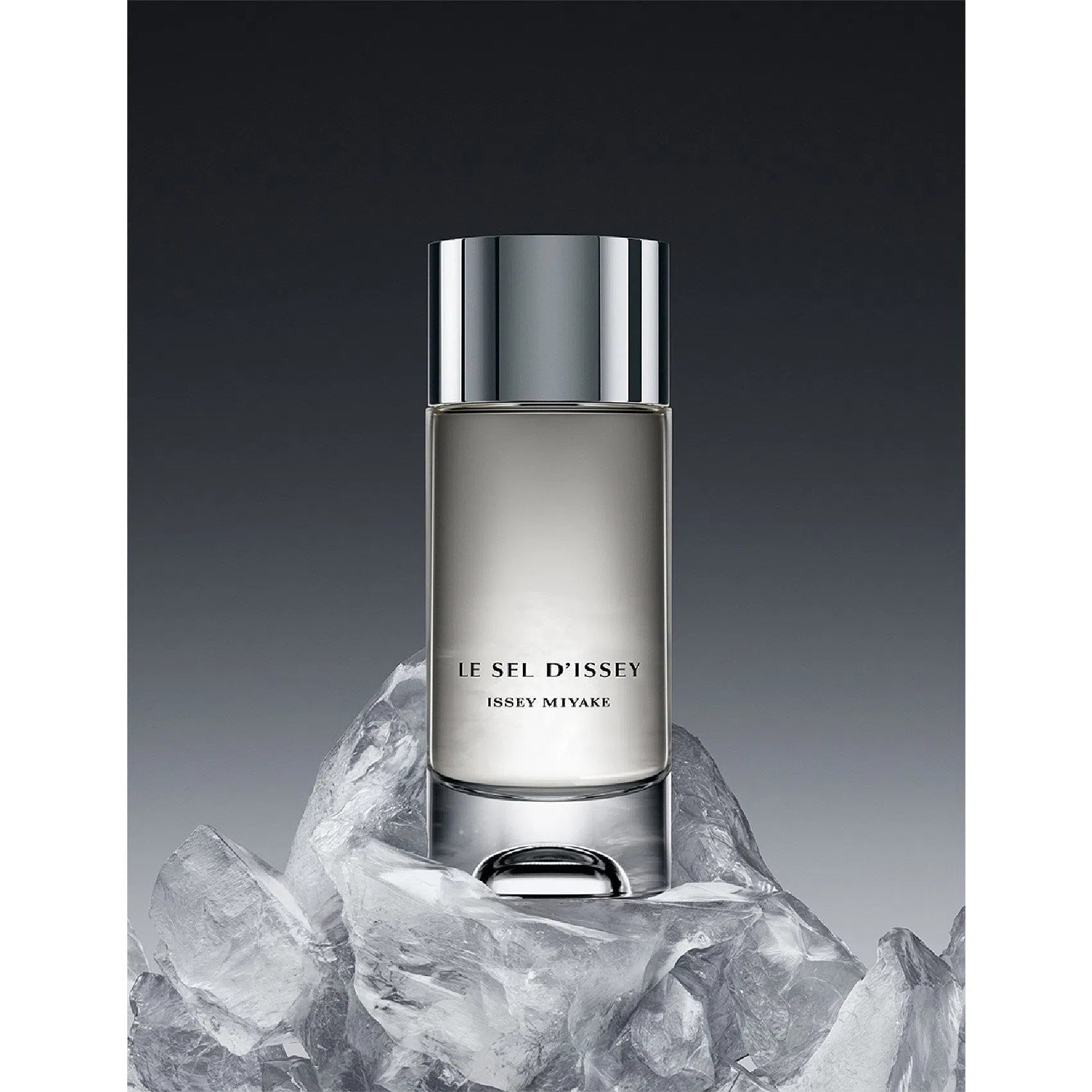 Perfume Issey Miyake Le Sel D'Issey EDT (M) / 100 ml - 7 - Privé Perfumes Honduras