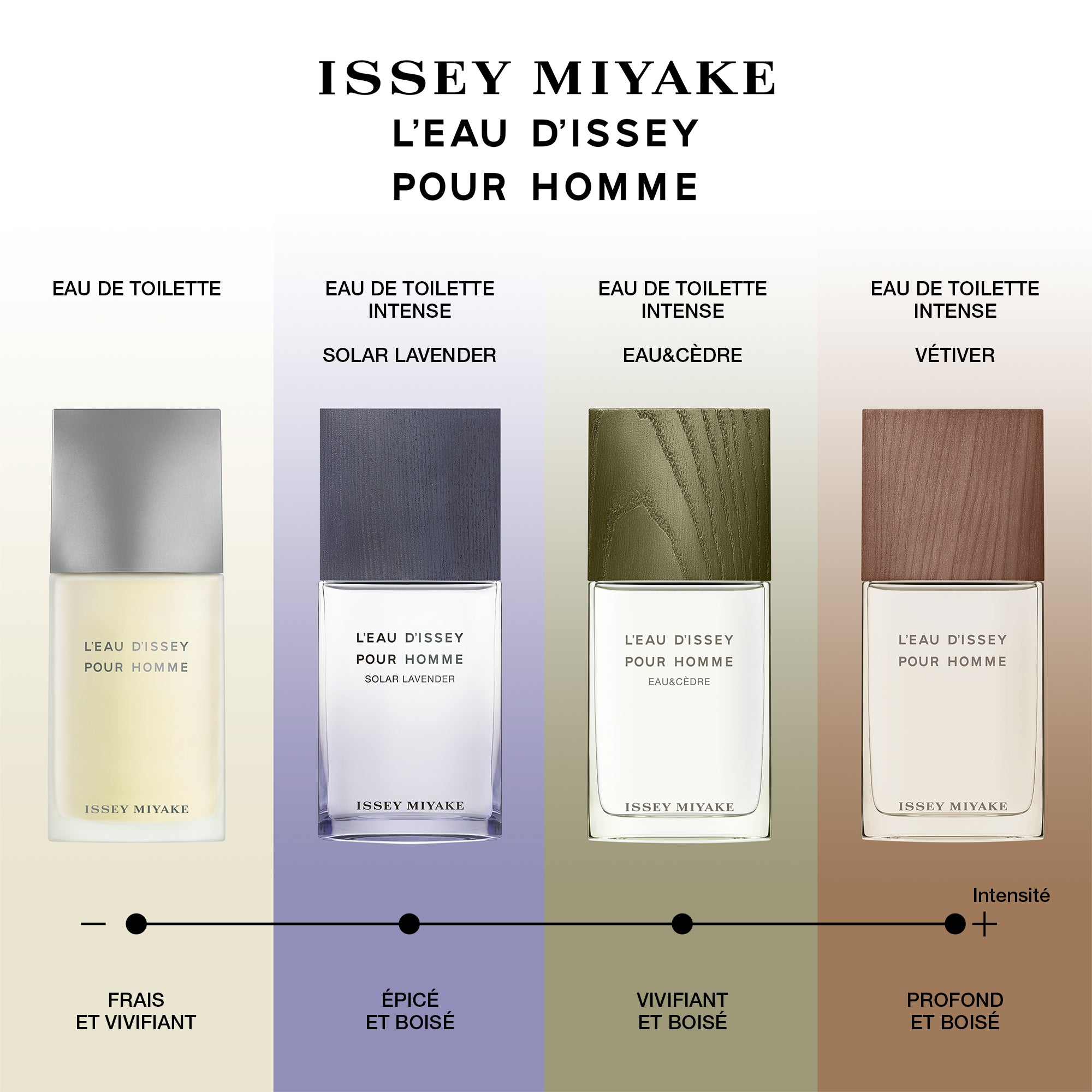 Perfume Issey Miyake L'Eau D'Issey Pour Homme EDT (M) / 200 ml - 9 - Privé Perfumes Honduras