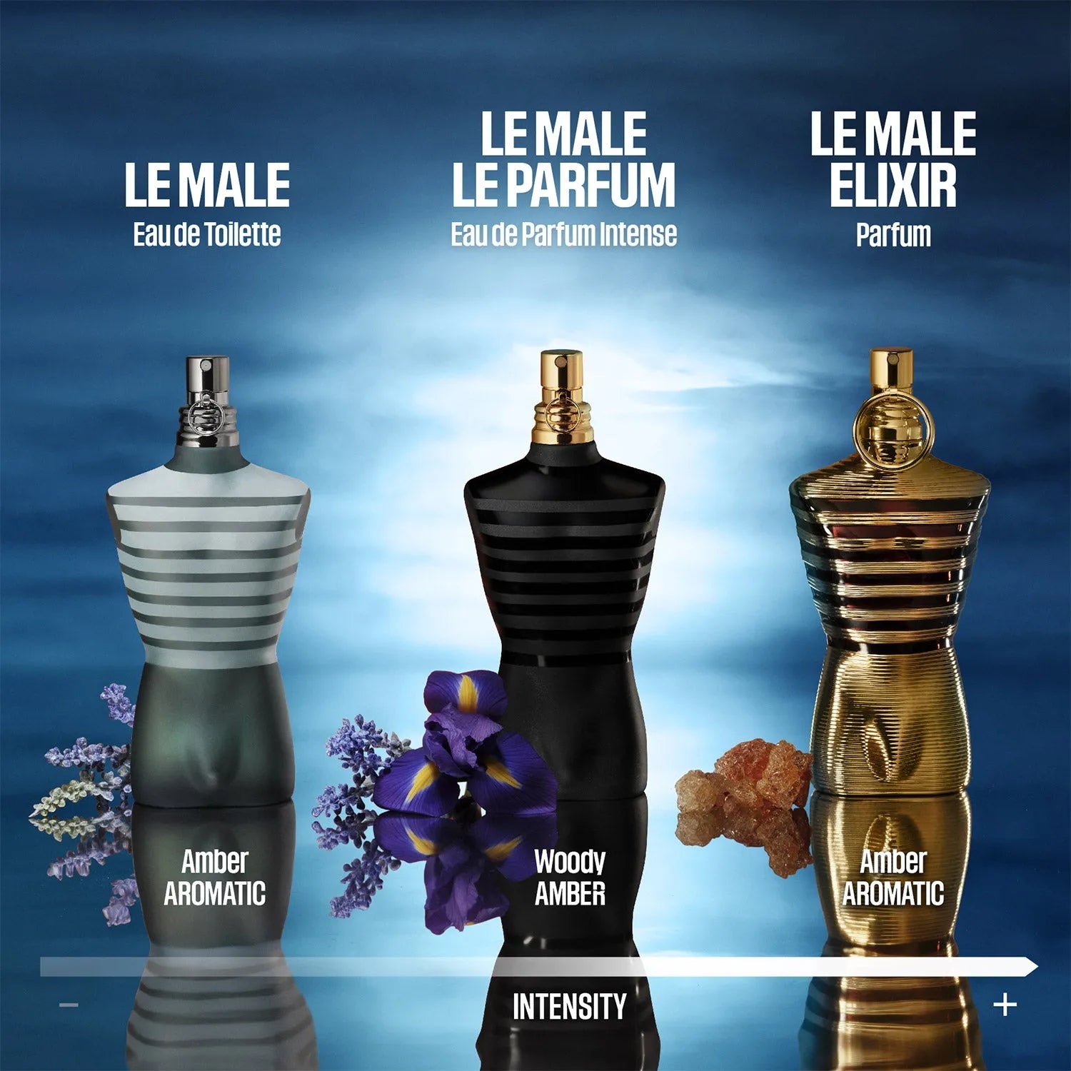 Perfume Jean Paul Gaultier Le Male EDT (M) / 75 ml - 9 - Privé Perfumes Honduras