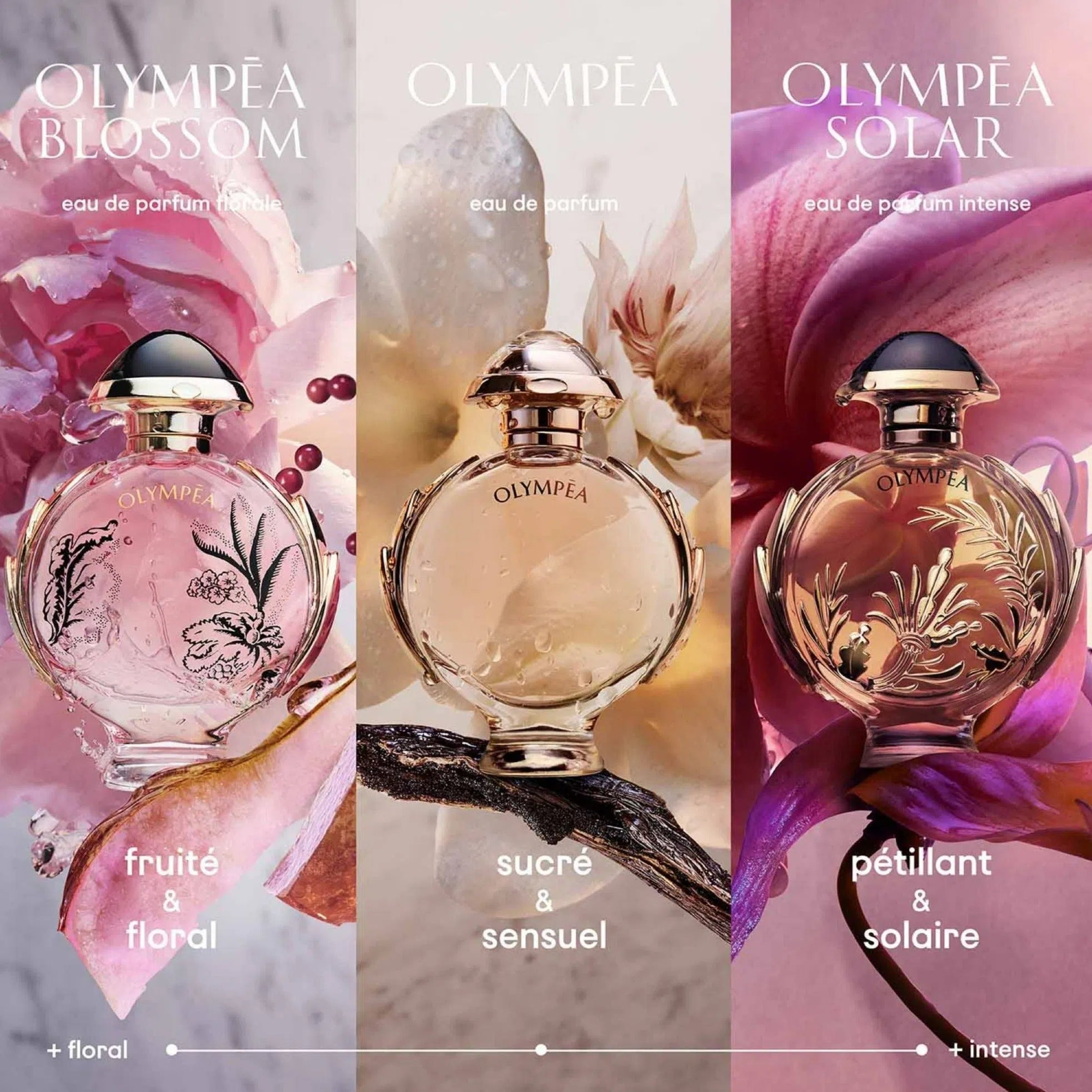 Perfume [M] Paco Rabanne Olympea Solar Intense EDP (W) / 80 ml OFFLINE - 2 - Privé Perfumes Honduras