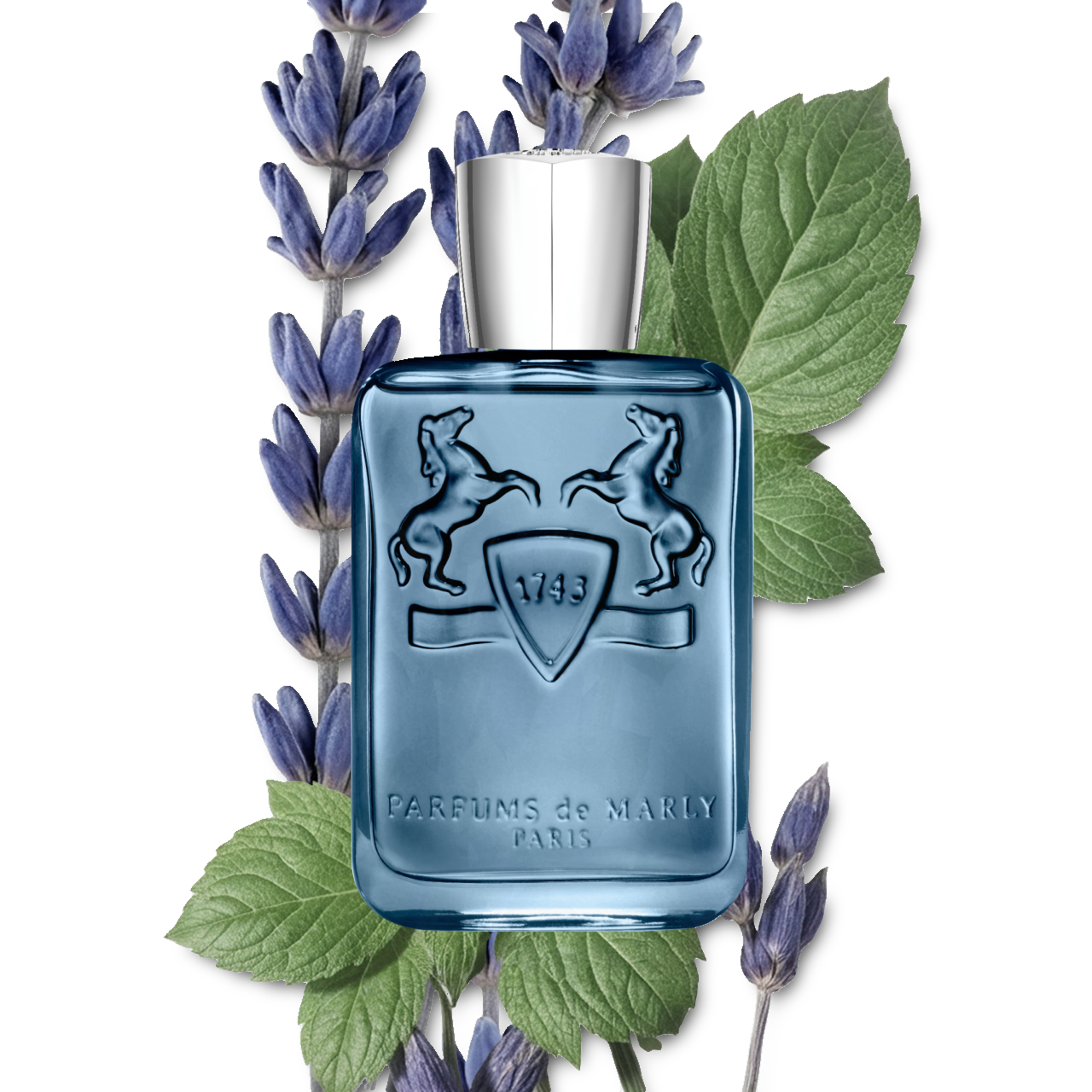 Perfume Parfums de Marly Sedley EDP (U) / 125 ml - 4 - Privé Perfumes Honduras