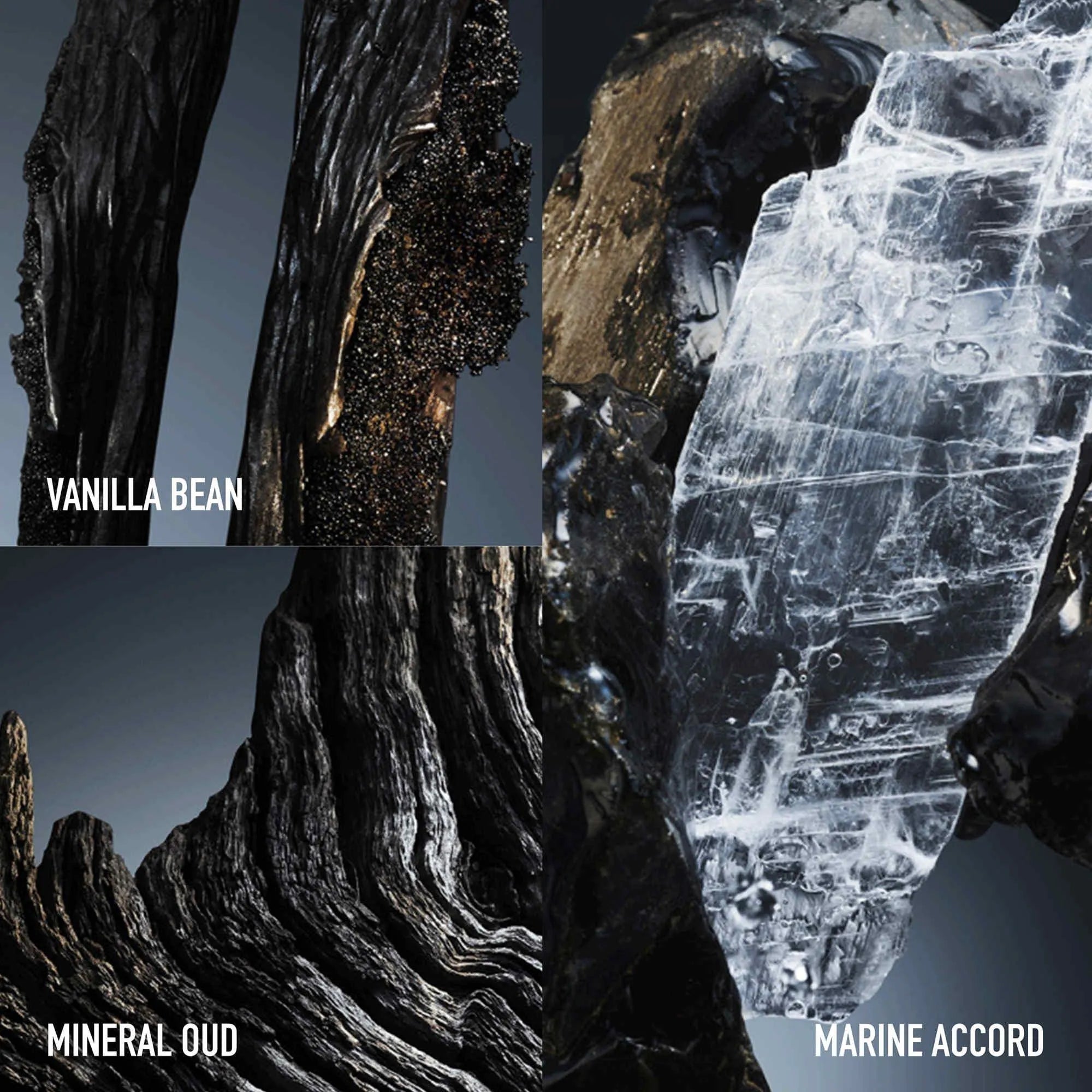 Perfume Rabanne Phantom Elixir Parfum Intense (M) / 100 ml - 4 - Privé Perfumes Honduras