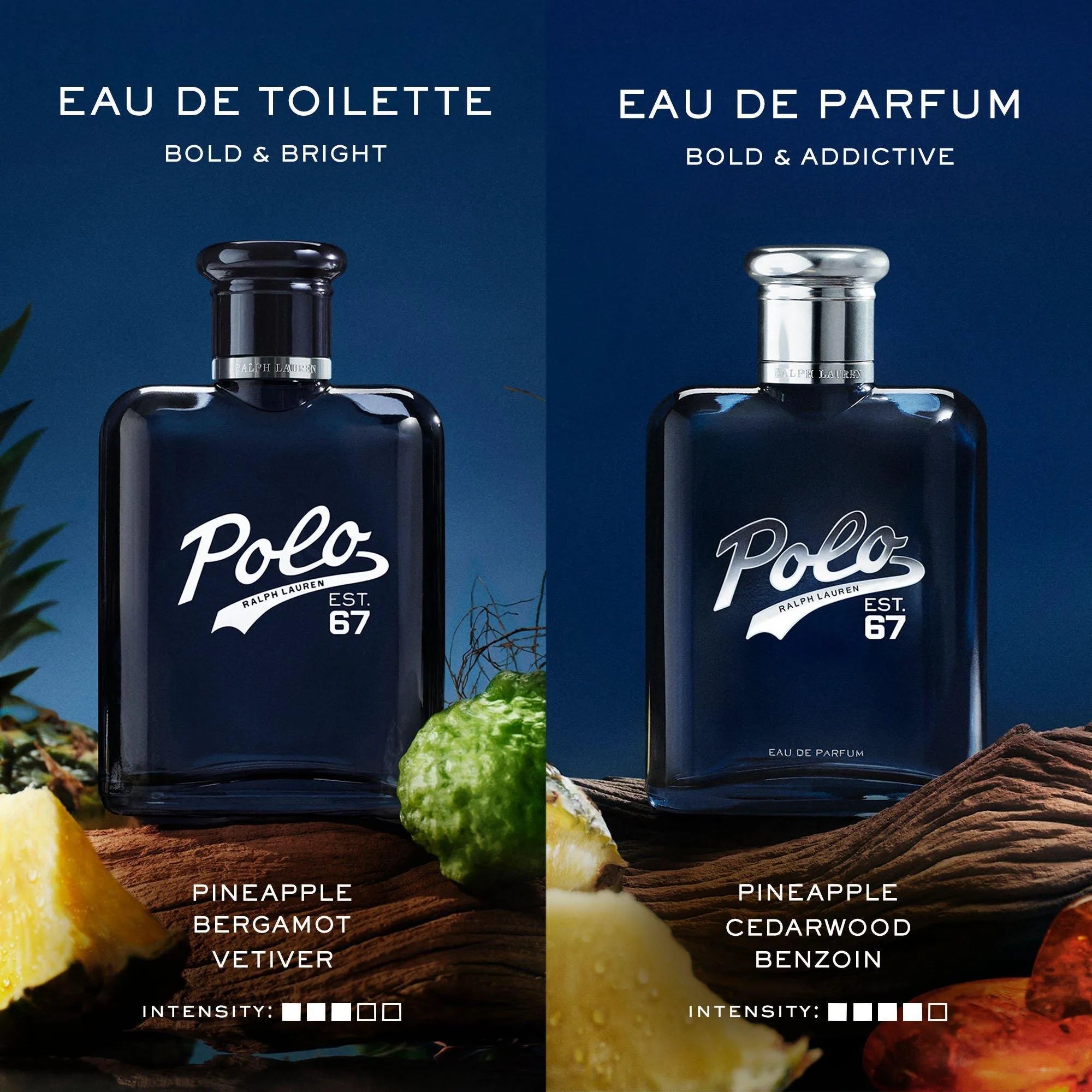 Perfume Ralph Lauren Polo 67 EDP (M) / 75 ml - 6 - Privé Perfumes Honduras