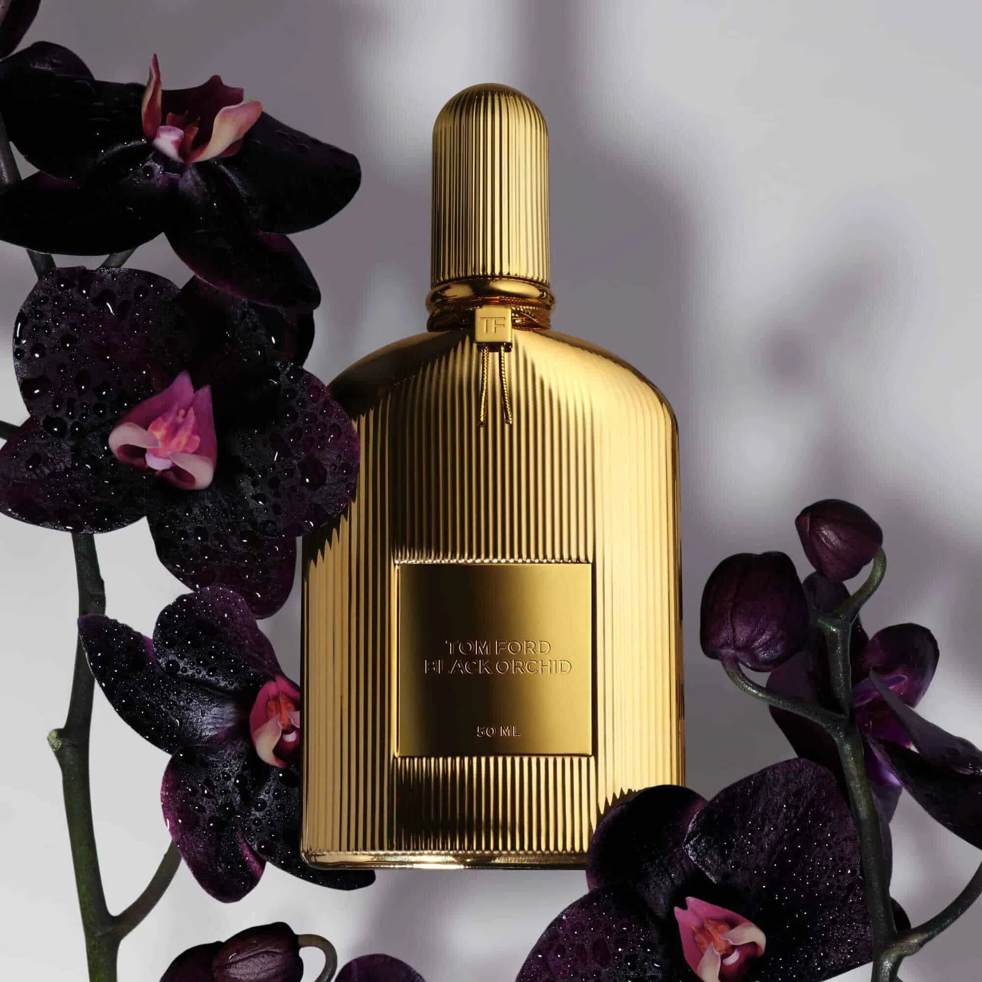 Perfume Tom Ford Black Orchid Parfum (U) / 50 ml - 888066112734- 3 - Prive Perfumes Honduras