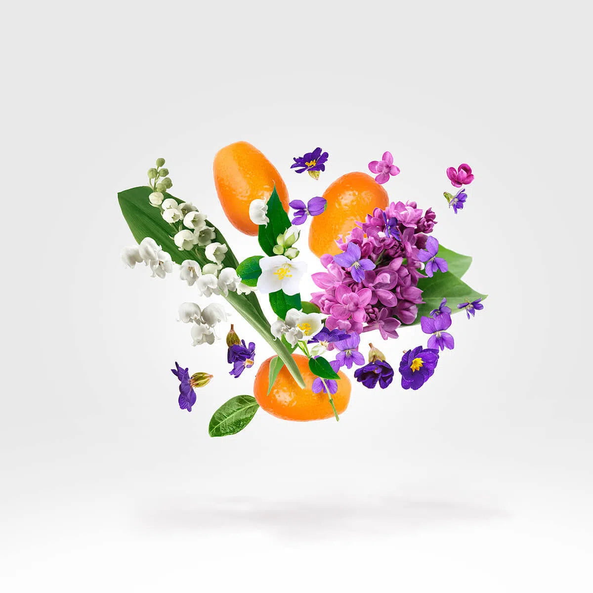 Perfume Xerjoff Casamorati 1888 Dama Bianca EDP (U) /100 ml - 4 - Privé Perfumes Honduras