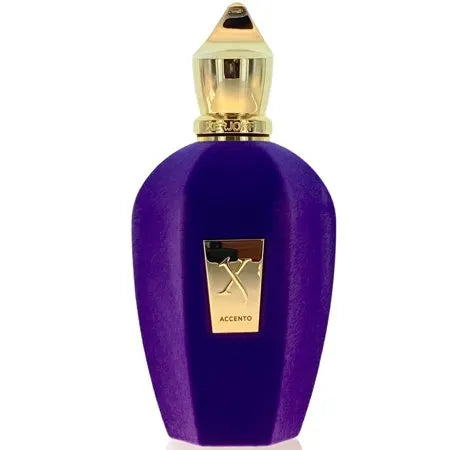 Perfume Xerjoff V Accento EDP (U) / 100 ml - 3 - Privé Perfumes Honduras