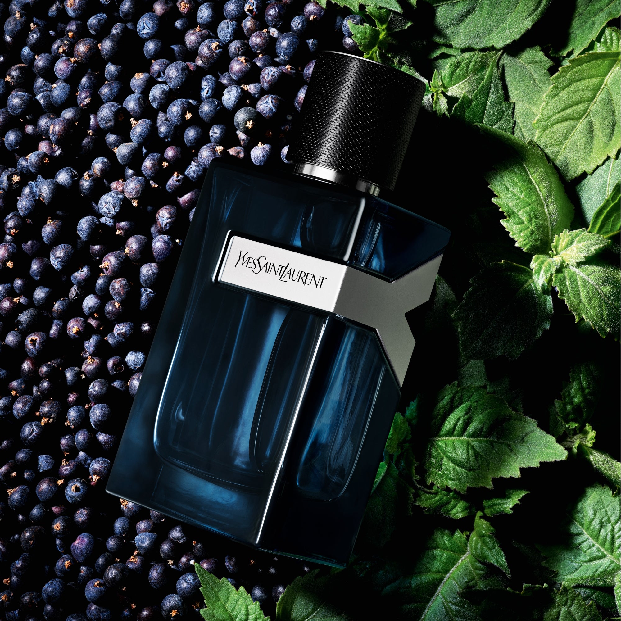 Perfume Yves Saint Laurent Y Intense EDP (M) / 100 ml - 5 - Privé Perfumes Honduras